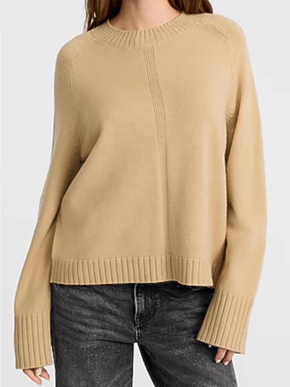 Express Camel Plush Soft Crewneck Sweater